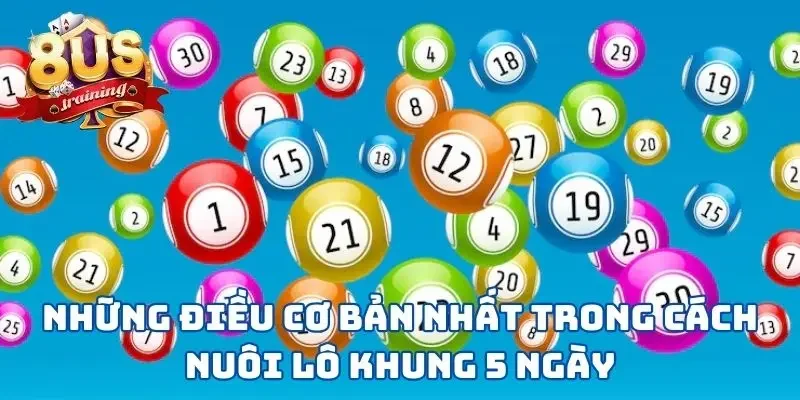 Cách Nuôi Lô Khung 5 Ngày - 3 Bước Đơn Giản Rinh Về Thưởng Lớn 2 Những điều cơ bản nhất trong cách nuôi lô khung 5 ngày