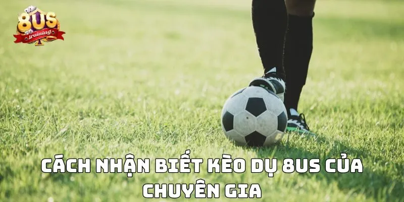 Kèo Dụ 8US – Hiểu Rõ Để Tránh Bẫy, Nâng Cao Chiến Thắng 4 Cách nhận biết kèo dụ 8US của chuyên gia
